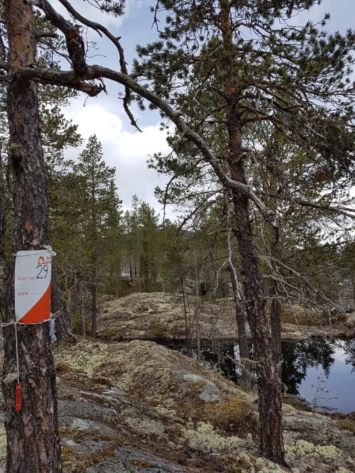 Tur-orientering 2019